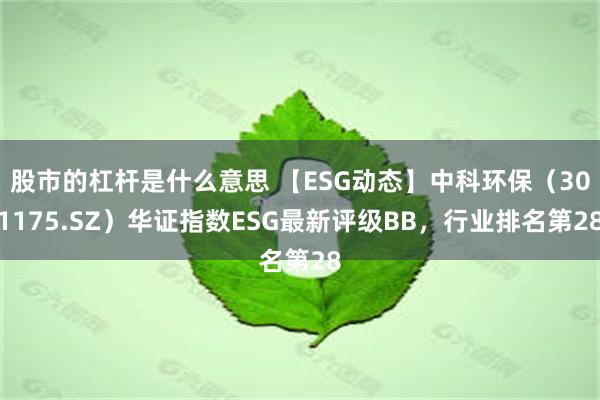 股市的杠杆是什么意思 【ESG动态】中科环保（301175.SZ）华证指数ESG最新评级BB，行业排名第28