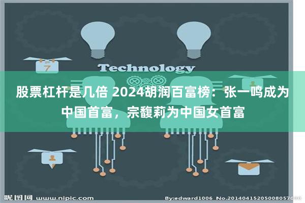 股票杠杆是几倍 2024胡润百富榜：张一鸣成为中国首富，宗馥莉为中国女首富