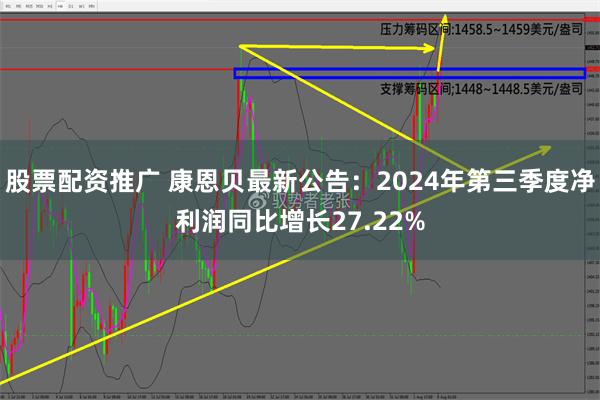 股票配资推广 康恩贝最新公告：2024年第三季度净利润同比增长27.22%