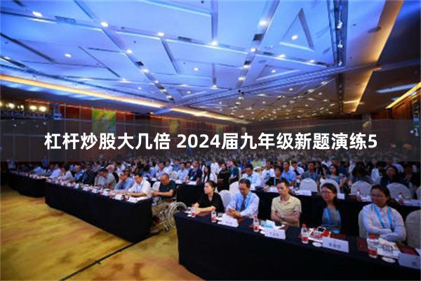 杠杆炒股大几倍 2024届九年级新题演练5