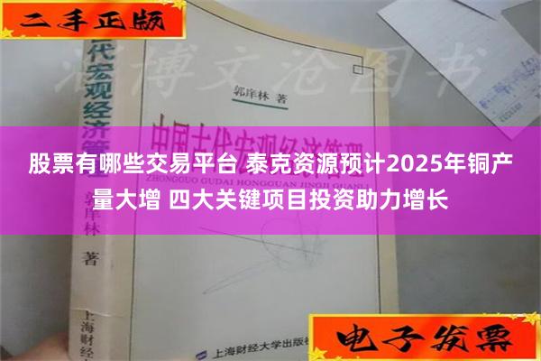 股票有哪些交易平台 泰克资源预计2025年铜产量大增 四大关键项目投资助力增长