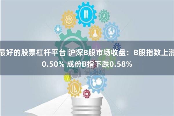 最好的股票杠杆平台 沪深B股市场收盘：B股指数上涨0.50% 成份B指下跌0.58%